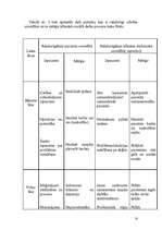 Referāts 'Stomas pacientu sociālā aprūpe', 18.