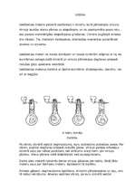 Referāts 'Fizika', 8.