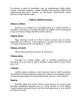 Referāts 'Sociālais pētījums par kinofilmām', 7.