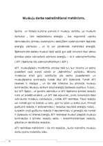 Referāts 'Atlētiskā sagatavošana', 5.