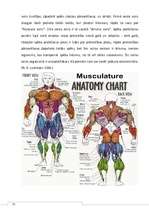 Referāts 'Atlētiskā sagatavošana', 7.