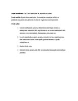 Prezentācija 'Datora sistēmplate un paplašinājuma kartes', 2.