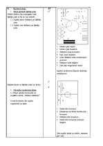 Konspekts 'Sporta stundas konspekts 3.klasei', 3.