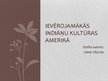 Prezentācija 'Ievērojamākās indiāņu kultūras Amerikā', 1.