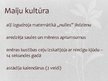 Prezentācija 'Ievērojamākās indiāņu kultūras Amerikā', 2.