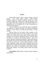 Referāts 'Mobilo telefonu starojuma ietekme uz cilvēka veselību', 3.