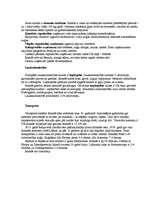 Referāts 'Islandes ekonomika', 5.