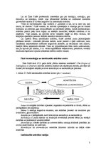 Referāts 'Žana Piažē intelektuālās attīstības teorija', 3.