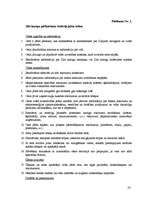 Referāts 'Jahtu tūrisma iespējas Latvijā', 32.