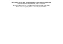 Konspekts 'Eksāmens valodas mācību joma', 3.