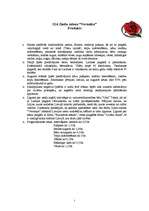 Biznesa plāns 'SIA ziedu salons "Veronika"', 5.