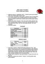 Biznesa plāns 'SIA ziedu salons "Veronika"', 8.