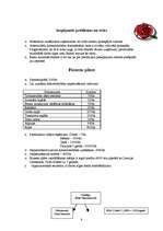 Biznesa plāns 'SIA ziedu salons "Veronika"', 9.