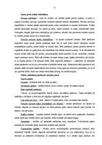 Konspekts 'Mārketinga galvenie jautājumi', 21.