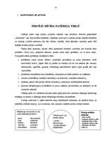 Konspekts 'Mārketinga galvenie jautājumi', 30.