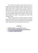 Referāts 'Romantisma iezīmes E.T.A.Hofmaņa romānā "Runča Mura dzīves uzskati”', 4.