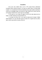 Referāts 'Marketing Mix, Promotion of Adidas Roteiro Ball', 3.