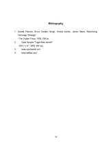 Referāts 'Marketing Mix, Promotion of Adidas Roteiro Ball', 14.