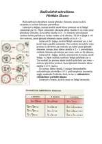 Referāts 'Radioaktivitāte', 7.