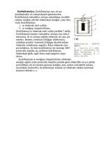 Referāts 'Radioaktivitāte', 15.