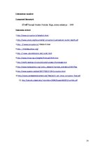 Referāts 'Korupcijas salīdzinājums Ķīnā un ASV', 19.