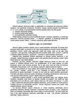 Referāts 'Jēdzienu iedalīšana un to kārtula', 5.