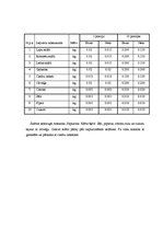 Paraugs 'Banketa organizēšana kafejnīcā "Oškrogs"', 26.