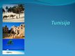 Prezentācija 'Āfrikas valsts Tunisija', 1.
