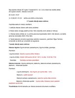 Konspekts 'Lietvedības protokols', 2.