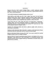 Diplomdarbs 'SIA "Triāls" attīstības stratēģija', 3.