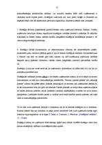 Diplomdarbs 'SIA "Triāls" attīstības stratēģija', 13.