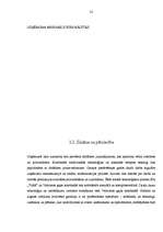 Diplomdarbs 'SIA "Triāls" attīstības stratēģija', 22.