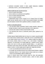 Diplomdarbs 'SIA "Triāls" attīstības stratēģija', 27.