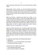 Diplomdarbs 'SIA "Triāls" attīstības stratēģija', 28.