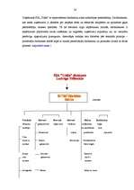 Diplomdarbs 'SIA "Triāls" attīstības stratēģija', 34.