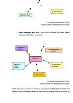 Diplomdarbs 'SIA "Triāls" attīstības stratēģija', 38.