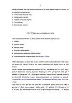 Diplomdarbs 'SIA "Triāls" attīstības stratēģija', 52.