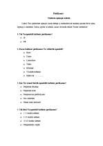 Konspekts 'Kādas ir studentu kultūras vērtības?', 7.