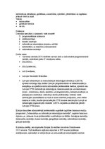 Prezentācija 'Datorikas nozare', 2.