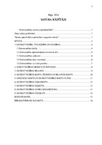 Eseja 'Grāmatvedības nozīme uzņēmējdarbībā', 2.