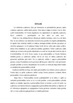 Eseja 'Grāmatvedības nozīme uzņēmējdarbībā', 3.