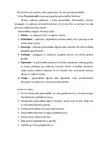 Eseja 'Grāmatvedības nozīme uzņēmējdarbībā', 6.