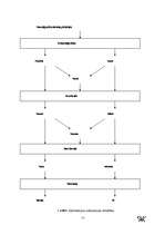 Konspekts 'Informācijas stratēģijas plānošana', 2.