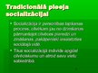 Referāts 'Ļ.Vigotska pieeja socializācijai', 5.