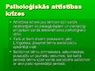 Referāts 'Ļ.Vigotska pieeja socializācijai', 11.