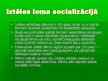 Referāts 'Ļ.Vigotska pieeja socializācijai', 14.