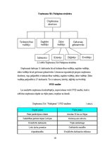 Diplomdarbs 'Darbinieku motivācija un iesaistīšanas darbā atšķirības organizācijās', 28.