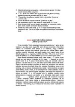 Paraugs 'Distanču slēpošana', 5.