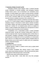 Referāts 'Nepilngadīgo likumpārkāpēju psiholoģiskais raksturojums', 4.