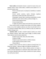 Referāts 'Transfertcenu dokumentēšanas teorētiskais pētījums', 6.